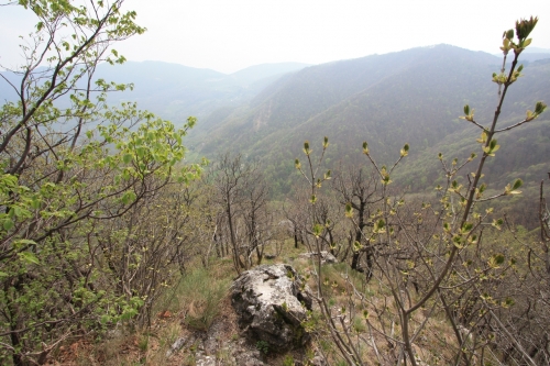 Planinarenje - Oštrc i Japetić 6.4.2014._34